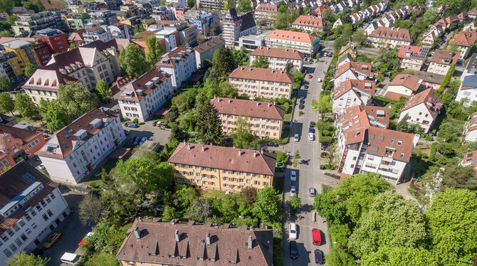 Das neue Wohnprojekt in der Südstadt sieht würfelförmige Bauten zwischen den bestehenden Häusern vor.  FOTO: GWG TÜBINGEN / LIPP