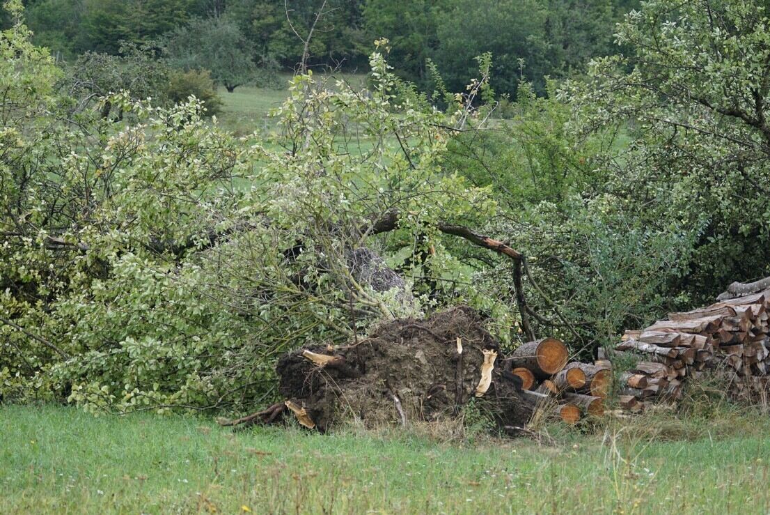 08_20_Windhose_Trailfingen_47