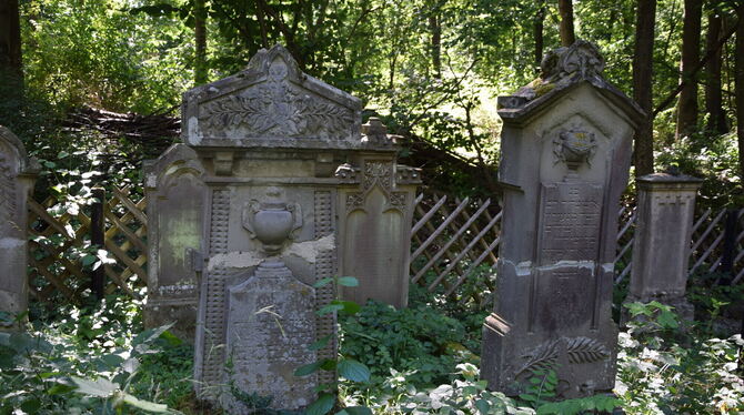 Steinerne Zeugen auf dem jüdischen Friedhof in Wankheim FOTO: STÖHR