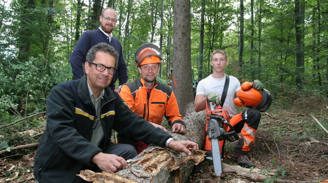 Georg Baumbusch (von links), Fabian Schäufele, Benjamin Schölkopf und Robin Schenk rücken dem Borkenkäfer auf die Pelle. FOTO: D