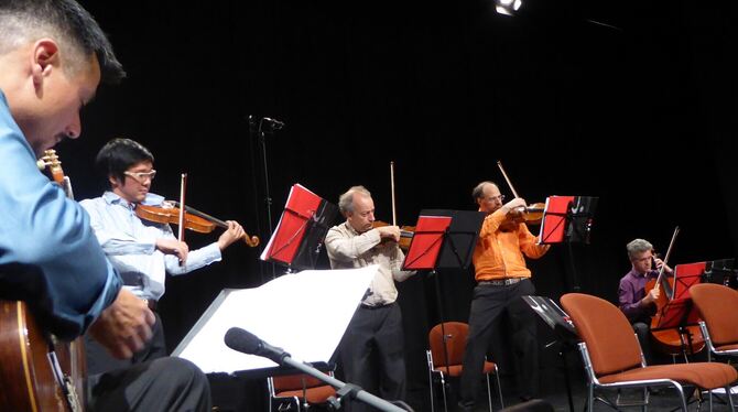 Rodrigo Guzmán (links) und Mitglieder des Musica Varia Ensembles in Aktion.  FOTO: BERNKLAU