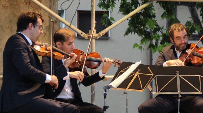 Mitglieder des Modigliani Quartetts beim Tübinger Open-Air-Konzert. FOTO: VARADY