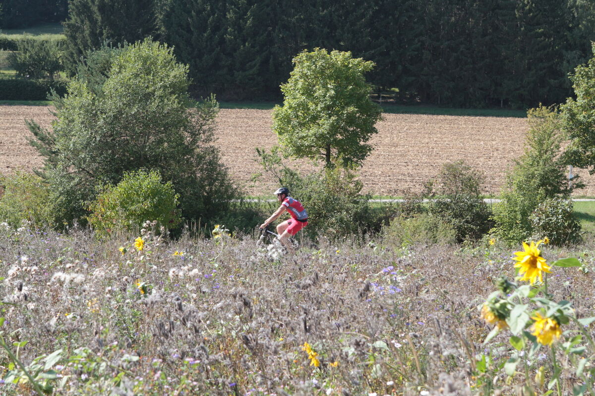 miniTriathlon_Münsingen20209