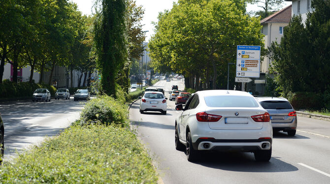 Ab Montag gilt hier Tempo 40. FOTO: PIETH