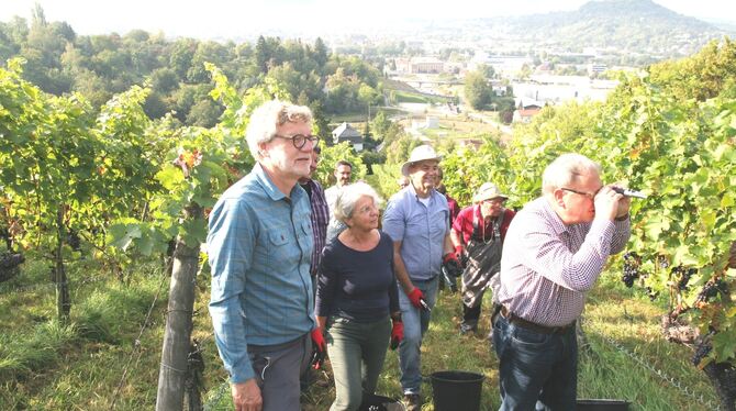 Thomas Keck (rechts) blickt ins Refraktometer. Alexander Kreher (links) und Gemeinderäte warten gespannt, wie viele Öchsle die T