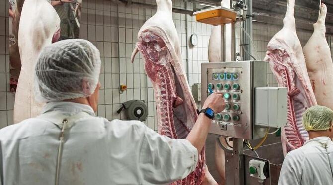 Razzien in der Fleischindustrie