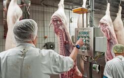 Razzien in der Fleischindustrie