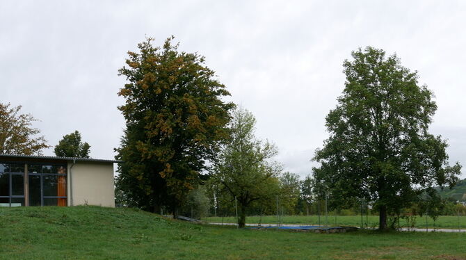 Die Stadt und die evangelische Kirchengemeinde Metzingen tauschen im Bongertwasen zwei Grundstücke: Das Ferientagheim (links der