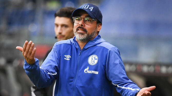 Der FC Schalke 04 hat sich nach dem fatalen Fehlstart in der Fußball-Bundesliga von Trainer David Wagner getrennt.  FOTO: DEDERT