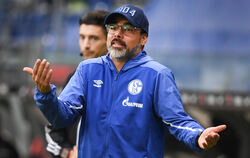 Der FC Schalke 04 hat sich nach dem fatalen Fehlstart in der Fußball-Bundesliga von Trainer David Wagner getrennt.  FOTO: DEDERT