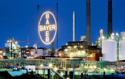 Bayer will Sparprogramm verschärfen