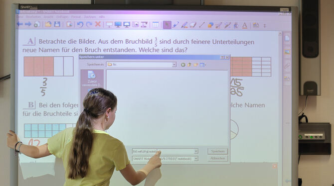 Whiteboards, die digitalen Tafeln, sind ganz oben auf dem Wunschzettel des Karl-von-Frisch-Gymnasiums. FOTO: ANSPACH/DPA