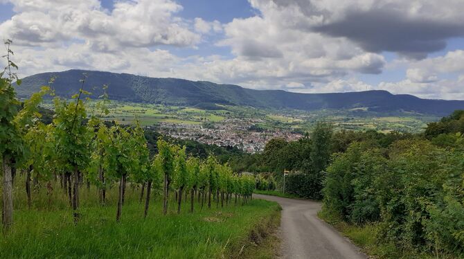 So schön ist der Ströhmfeld-Weg: Blick vom Metzinger Weinberg auf das Ermstal und den Albtrauf.  FOTOS: PFISTERER