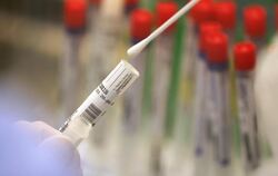 Ein Abstrich wird in einem Labor auf das Coronavirus untersucht