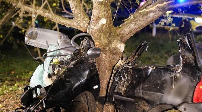 Ein Fahrzeug ist nach einer Kollision mit einem Baum zerstört