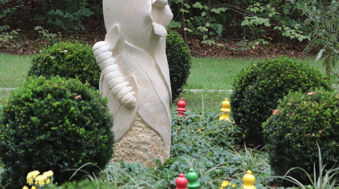 Das Schmetterlingsfeld auf dem Tübinger Bergfriedhof.