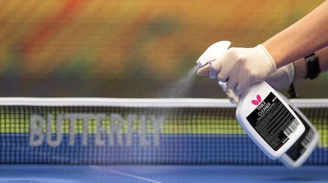 Tischtennisplatte Tischtennisplatte