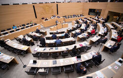 Im Landtag wurde gestern der Nachtragshaushalt beschlossen. Heftige Kritik hagelte es von der FDP.  FOTO: WELLER/DPA