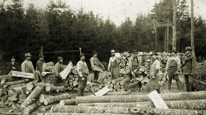Waldarbeit früher: Eindrucksvolle historische Aufnahmen wurden für den Kalender der Oldtimerfreunde zusammengetragen. FOTO: PRIV