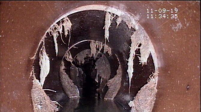 Eingewachsene Wurzeln im Kanal.  FOTO: PR