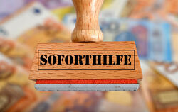 Bund und Land helfen 2020, die coronabedingten Ausfälle bei der Stadt Reutlingen in Grenzen zu halten. FOTO: WEBER/EIBNER