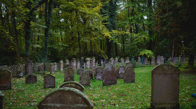 Seit Jahren setzen saurer Regen und Erosion den jahrhundertealten Gräbern auf dem Wankheimer Friedhof zu.