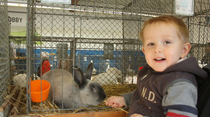 Felix Kinzelmann ist begeistert von den Kaninchen. Dem Wunsch nach einem eigenen entgegnet sein Vater Jörg: »Sicher et!«  FOTO:
