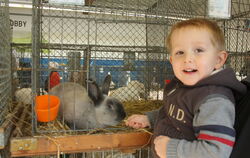 Felix Kinzelmann ist begeistert von den Kaninchen. Dem Wunsch nach einem eigenen entgegnet sein Vater Jörg: »Sicher et!«  FOTO: 