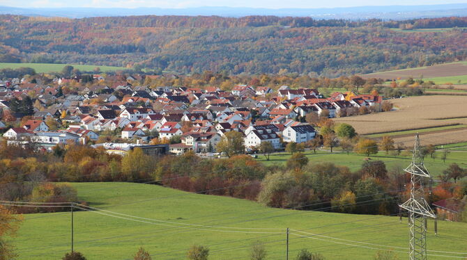 Das Gebiet Engelhag (rechts) am nordöstlichen Ortsrand von Hinterweiler soll klimaneutral entwickelt werden.  FOTO: FÖRDER