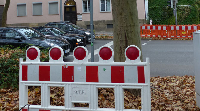 Wenn die Autos Rot haben, wird der Fußgängerüberweg über die Lederstraße weiter genutzt.  FOTO: VCD
