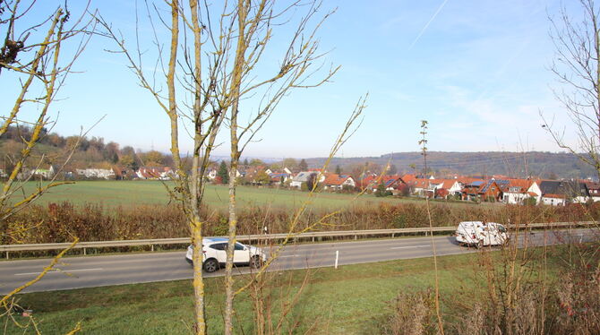 Bempflingen möchte direkt neben der Straße nach Riederich ein neues Baugebiet entwickeln. FOTO: OECHSNER