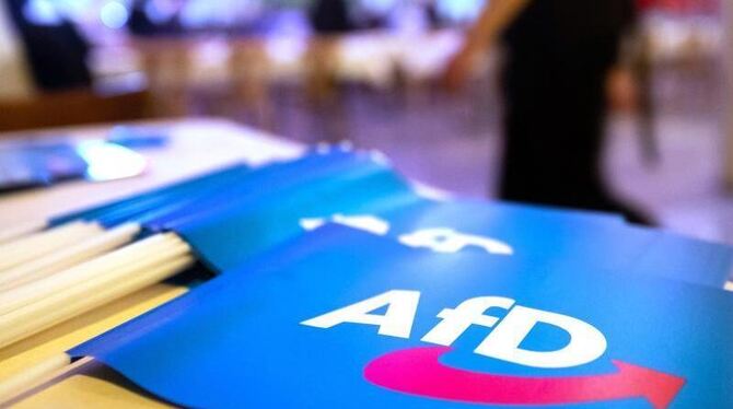 AfD-Parteitag startet