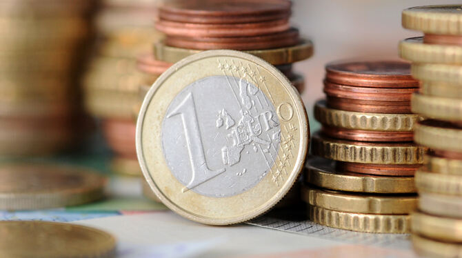 Lichtenstein muss in diesem Jahr nicht jeden Euro zweimal umdrehen. Die Lage ist besser als gedacht .