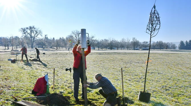 Künftig werden Bäume vor der Halle Schatten spenden. Zur Pflanzaktion der Bürgerstiftung am Samstag kamen 15 Helfer.  FOTO: MEYE