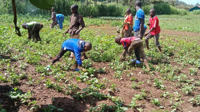 Kinderbeschäftigung im Gemüsegarten: Zum Projekt gehört auch eine Farm mit Tieren und dem großen Nutzgarten.