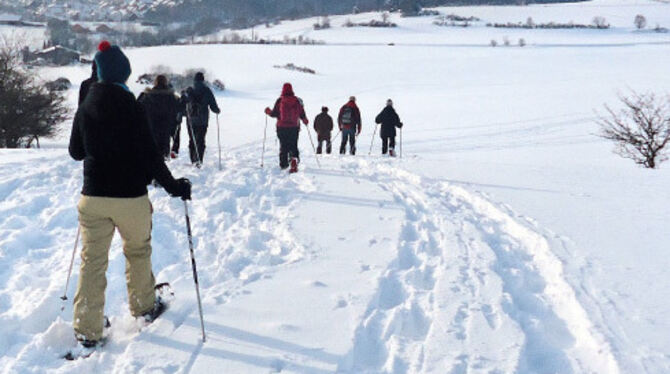 Dieses Motiv von einer Schneeschuh-Wanderung ziert die Broschüre mit Winter-Freizeittipps der Tourismusgemeinschaft Mythos Schwä