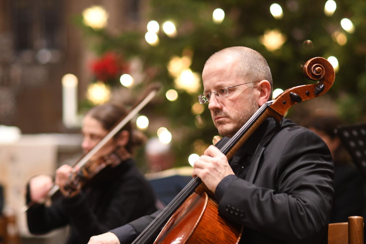 Volle Konzentration vor dem Weihnachtsbaum bei den Musikern.