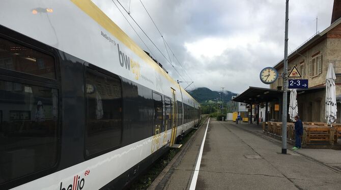 Ein moderner Talent-2-Zug im Metzinger Bahnhof: Mit dem Fahrplanwechsel am Sonntag sind immer mehr dieser Züge unterwegs, deren
