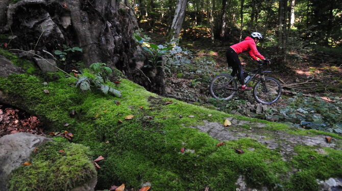 Unterwegs in unwegsamem Gelände: Mit den Rundtouren und Verbindungsspangen stehen mehr als 100 Kilometer Strecke für Freizeitspo