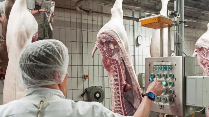 Bundestag - Fleischindustrie Bundestag - Fleischindustrie