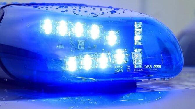 Ein Blaulicht leuchtet auf dem Dach eines Streifenwagens