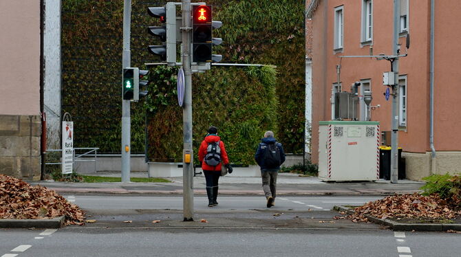 Der Fußgängerüberweg mit Bedarfsampel auf Höhe der Luftmessstation in der Lederstraße ist wieder frei.  FOTO: NIETHAMMER