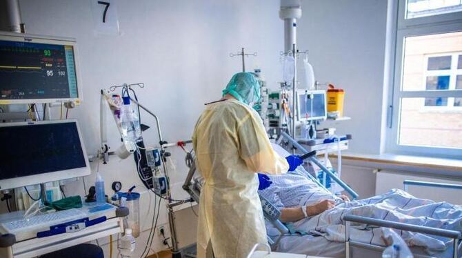 Coronavirus Coronavirus