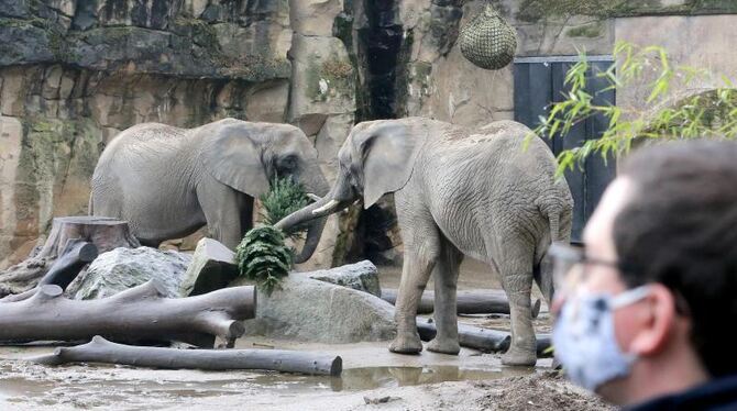 Zoos verlieren Millionen Zoos verlieren Millionen