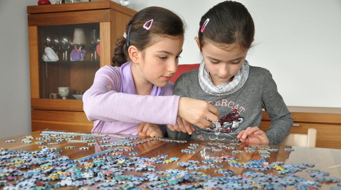 Wer suchet, der findet: Puzzeln setzt sogar Glückshormone frei, sagen Experten. FOTO: LIEBMANN