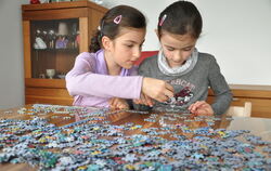 Wer suchet, der findet: Puzzeln setzt sogar Glückshormone frei, sagen Experten. FOTO: LIEBMANN