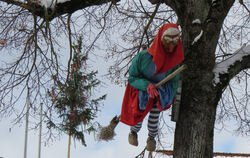Still und leise wurde in Melchingen ein Narrenbaum gestellt. Figuren der Narrhalla hängen in den Linden an der Hauptstraße.  FOT