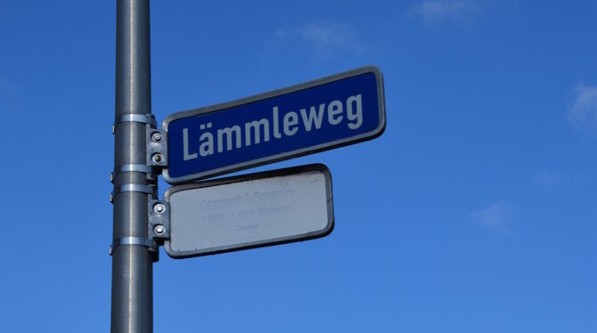 Das Straßenschild im Teilort Hirschau. Die Schrift auf der weißen Zusatztafel ist ziemlich verblichen. Auf ihr stehen der Name,