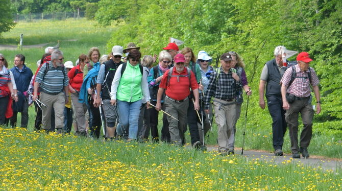 Das waren noch Zeiten: die Gomaringer Albvereinsgruppe bei ihrer 24-Stunden-Wanderung am Rotenberg in Stuttgart (oben) und Albve