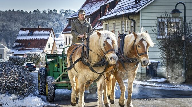 Entschleunigung dank zwei Pferdestärken: Die eingespannten Haflinger ziehen Florian Wagner auf einem Mistwagen durch das winterl